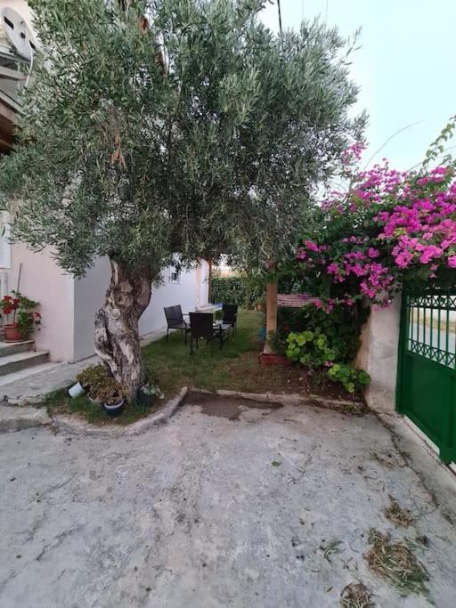 Semelia'S Guest House Spáta Zewnętrze zdjęcie